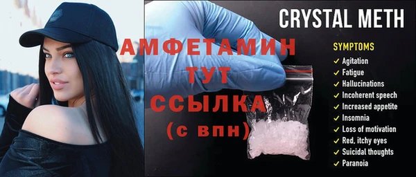 индика Нея