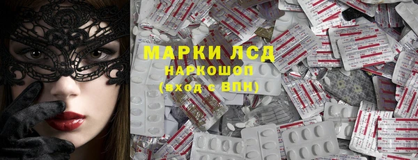 индика Нея