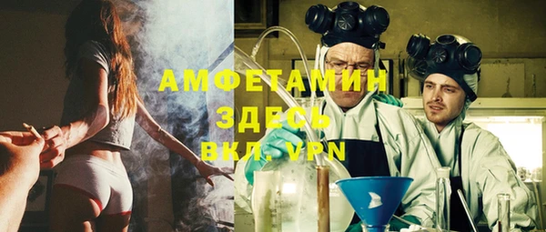 индика Нея