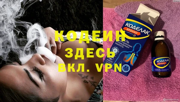 индика Нея