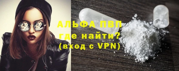 индика Нея